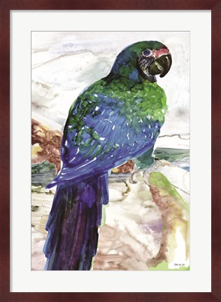 Framed Blue Parrot on Branch 1 Print