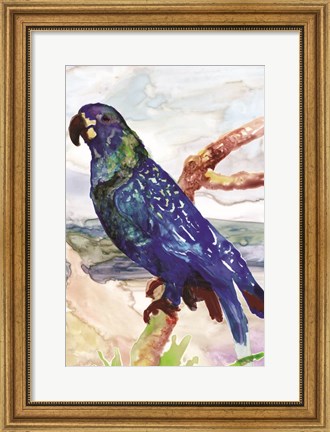 Framed Blue Parrot on Branch 2 Print