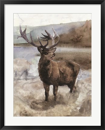 Framed Grand Elk 2 Print