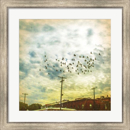 Framed Birds on Wires V Print