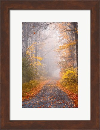 Framed Road and Autumn Mist Print