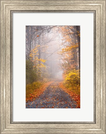 Framed Road and Autumn Mist Print