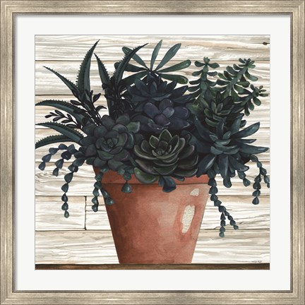 Framed Remarkable Succulents III Print