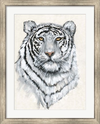 Framed White Tiger II Print