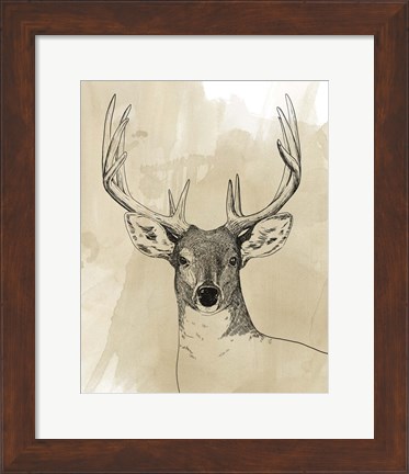 Framed Burnished Buck II Print