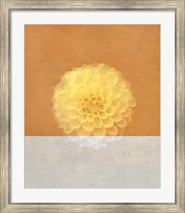 Framed Orange Flower Print