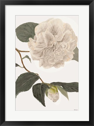 Framed White Botanical II Print