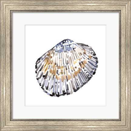 Framed Simple Shells IV Print