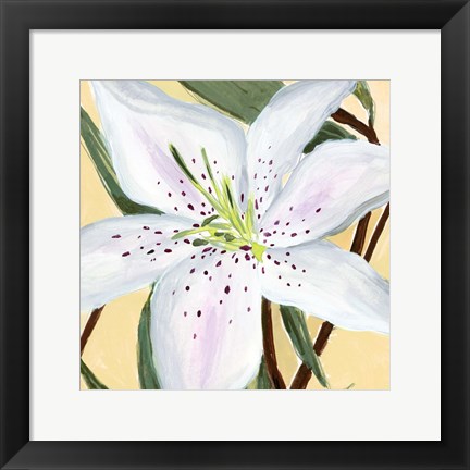 Framed White Lily II Print
