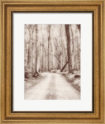 Framed Road in the Woods Print