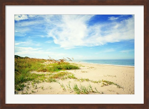 Framed Shores View Print