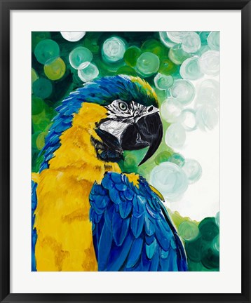 Framed Brilliant Parrot Print