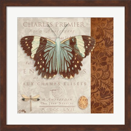 Framed Butterfly on Display II Print