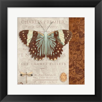 Framed Butterfly on Display II Print