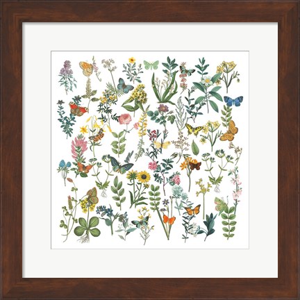 Framed Flowers and Butterflies Print