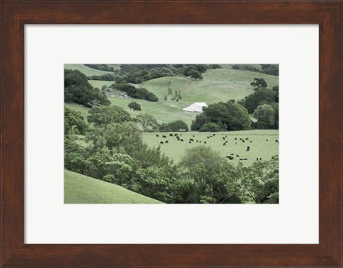 Framed Marin California Ranch Print