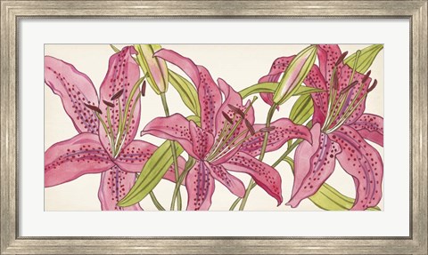 Framed Pink Lilies II Print