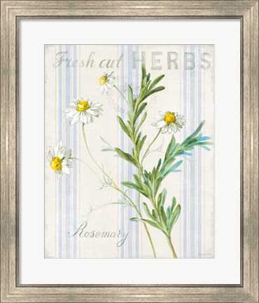 Framed Floursack Herbs I Print