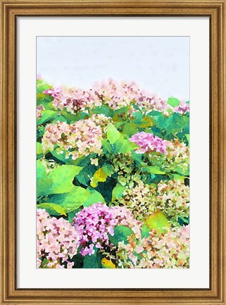 Framed Garden Beauties I Print