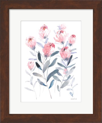 Framed All the Protea Print