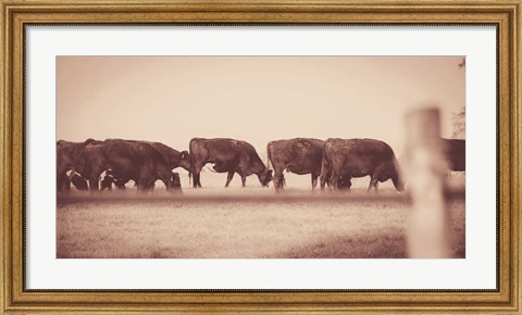 Framed Cattle Row Print