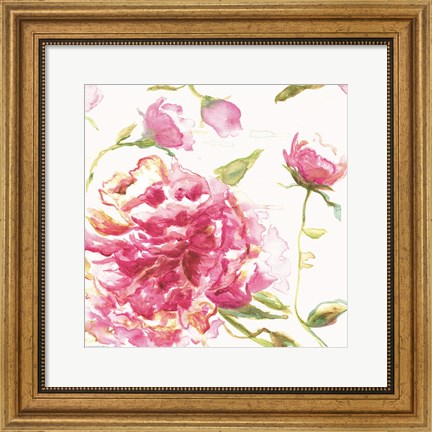 Framed English Rose Print