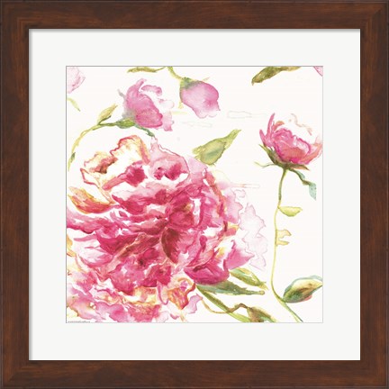 Framed English Rose Print