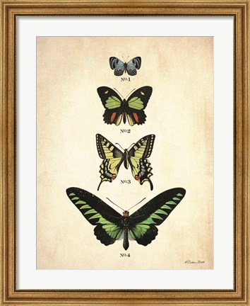 Framed Butterflies 1 Print