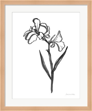 Framed Ink Flower II Print