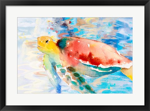 Framed Turtle Passing Trhough Print