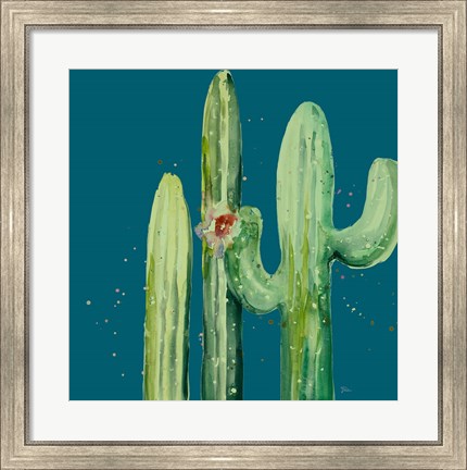 Framed Natural Desert Cactus On Blue II Print