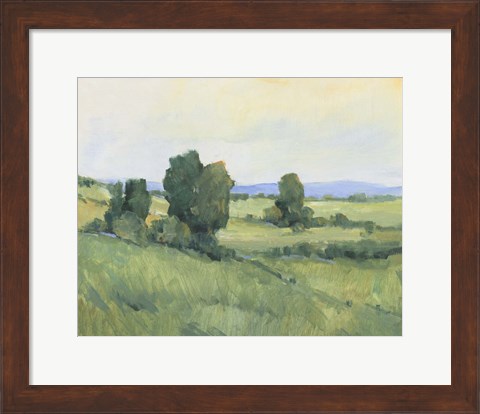 Framed Rolling Green Hills II Print