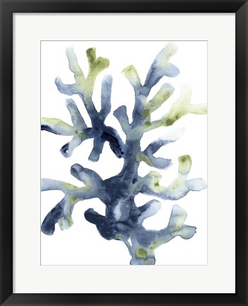 Framed Liquid Coral I Print