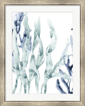 Framed Blue Kelp III Print
