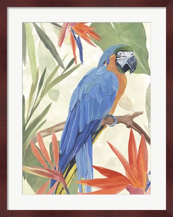 Framed Tropical Parrot Composition IV Print