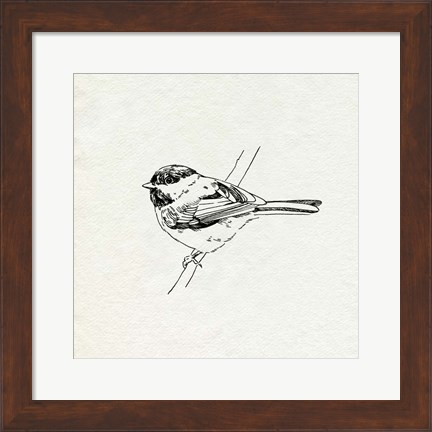 Framed Bird Feeder Friends II Print