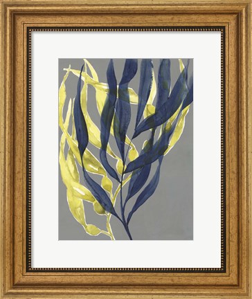 Framed Kelp Embrace II Print