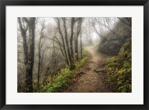 Framed Narrow Path Print