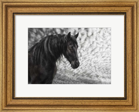 Framed Equine Portrait III Print