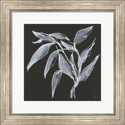 Framed Branch II Print