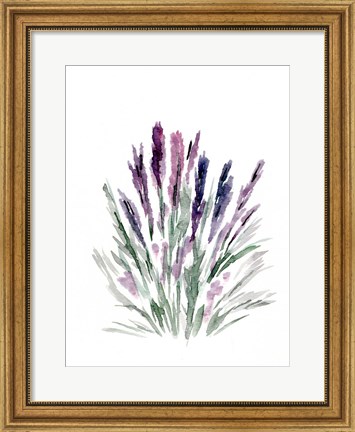 Framed Lavender Print