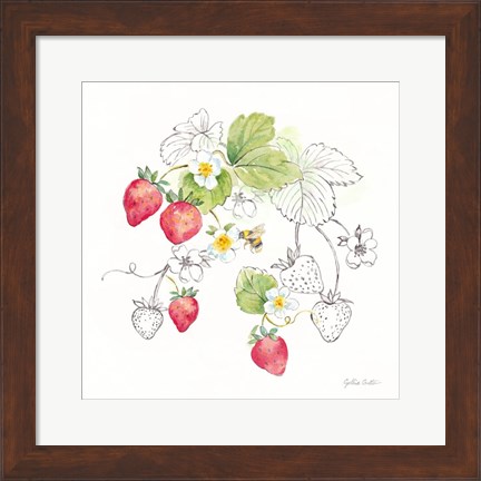 Framed Berries and Bees II Print