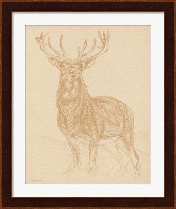 Framed Buck Sketch Print