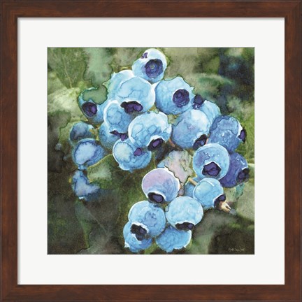 Framed Blueberries 3 Print