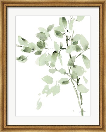 Framed Cascading Branches II Print
