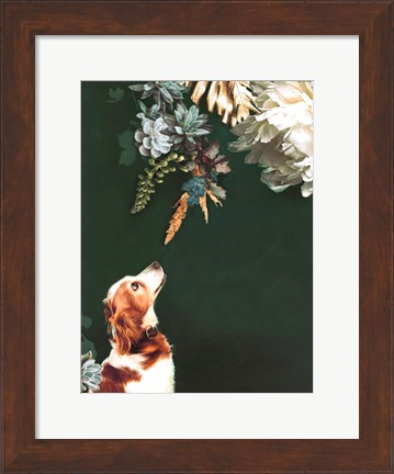 Framed Pet Couture 1 Print
