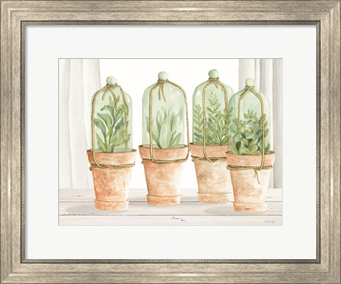Framed Herb Collection Print