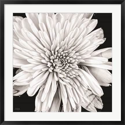 Framed Black and White Love II Print