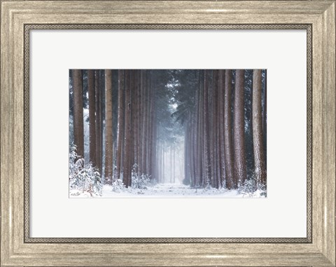 Framed Polar Winter Print