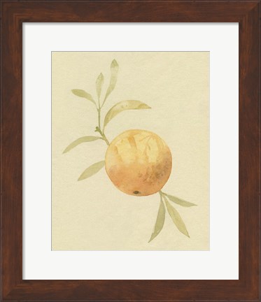 Framed Dappled Oranges IV Print